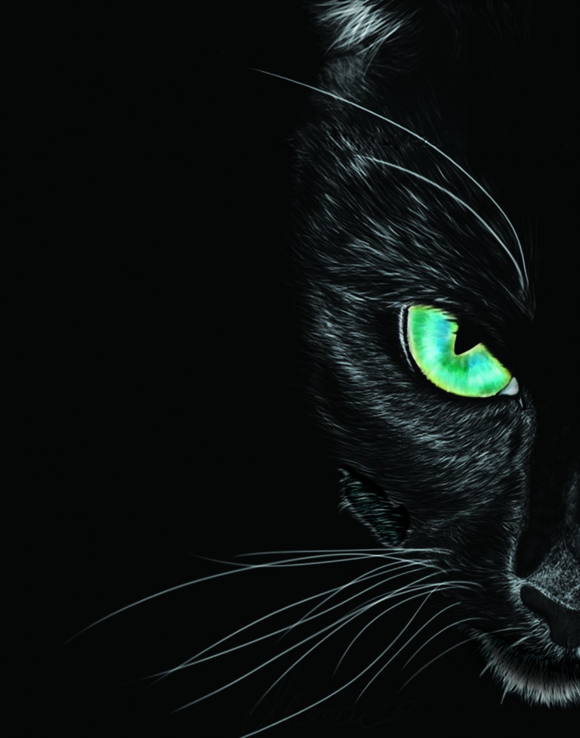 Chia sẻ hơn 55 về hình nền mèo đen hay nhất - cdgdbentre.edu.vn